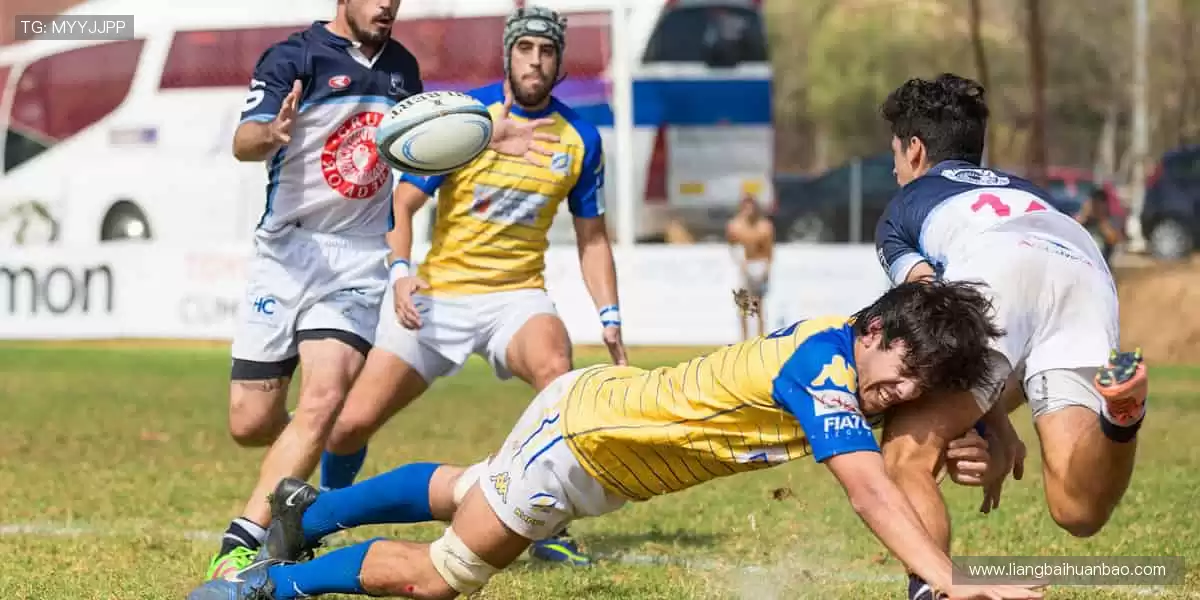 🏋️ 专业品质,助力每一次突破!💪